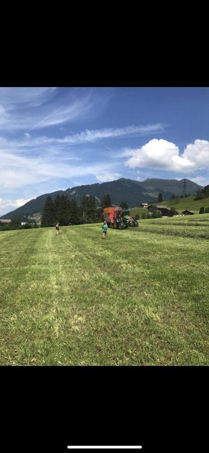 Schneiderhof * Weerberg