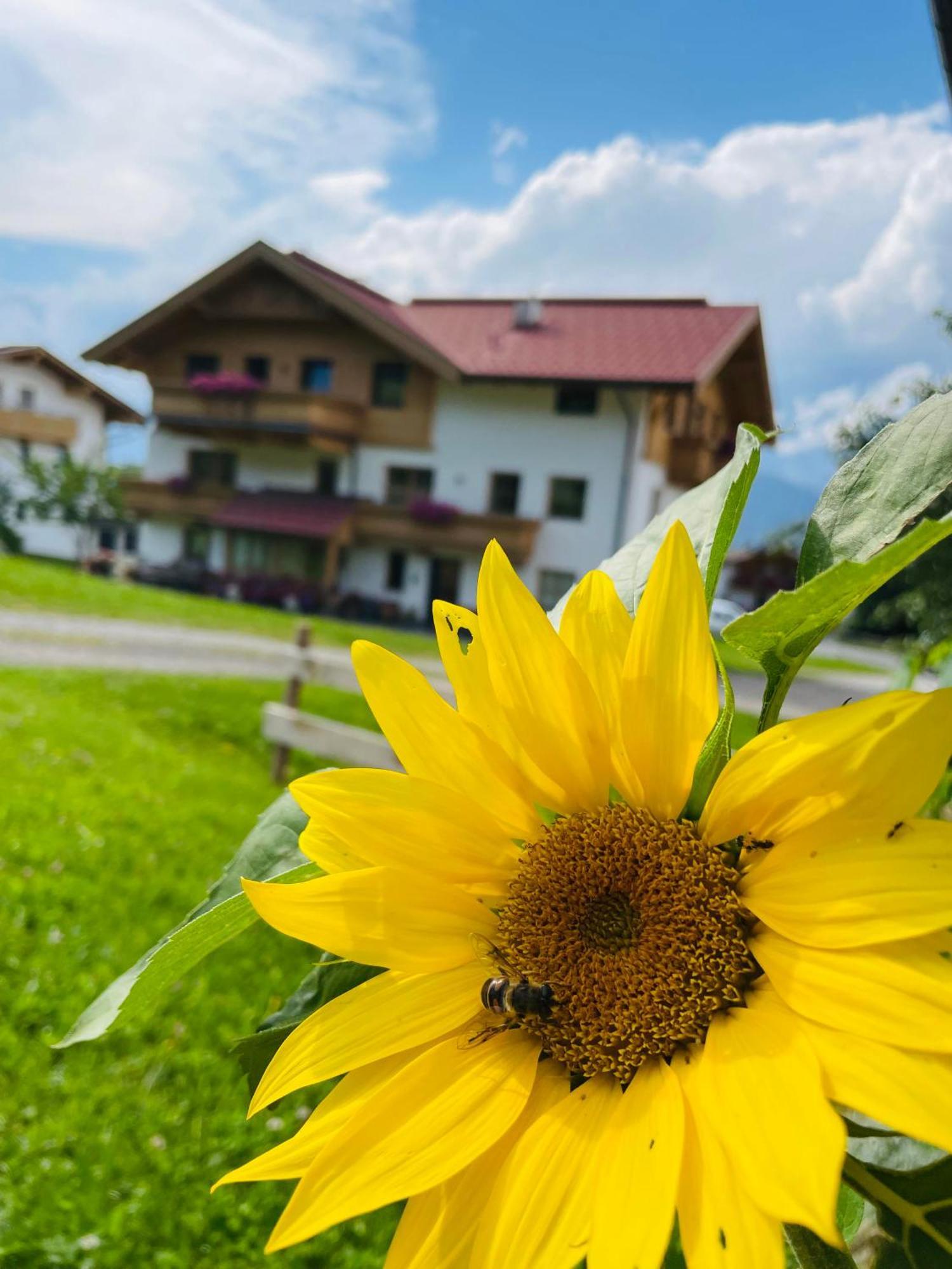 Farm stay Schneiderhof
